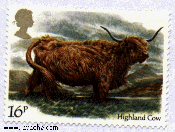 highland.jpg (25728 octets)